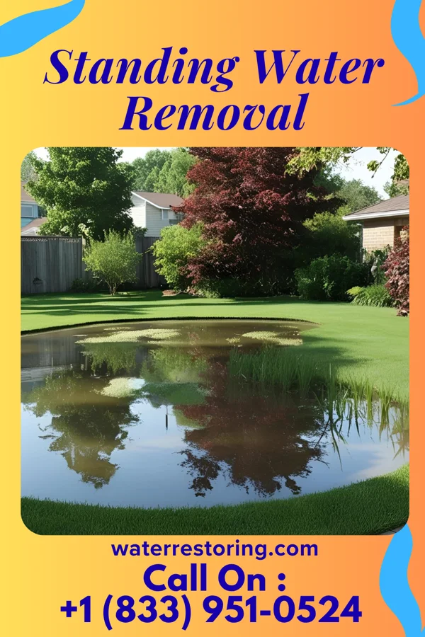Standing Water Removal in Yeehaw Junction, FL